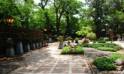 A picturesque scene of Lodhi Garden, highlighting vibrant plants and trees set against a tranquil backdrop