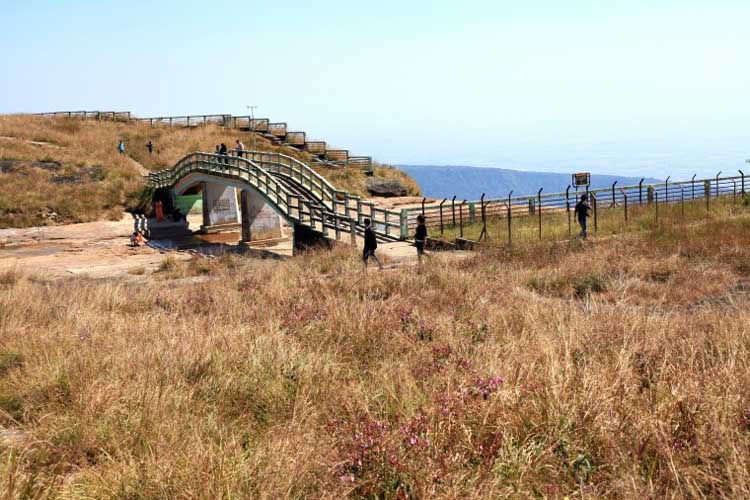 Eco Park